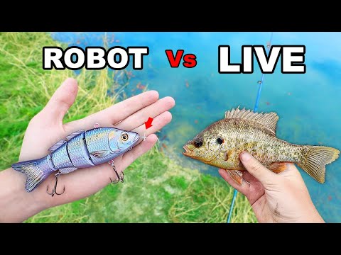ROBOTIC FISHING LURE Vs. LIVE BAIT For Big Bass (Male KAREN Hates  Fisherman!) 