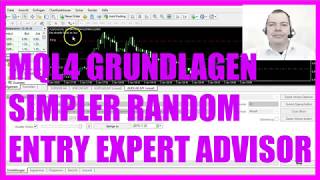 MQL4 TUTORIAL GRUNDLAGEN - 50 SIMPLER RANDOM ENTRY EXPERT ADVISOR