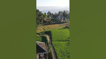 INDAH‼️ SUASANA KAMPUNG YANG INDAH DAN BIKIN BETAH #youtube #short #viral #fyp #nature #village