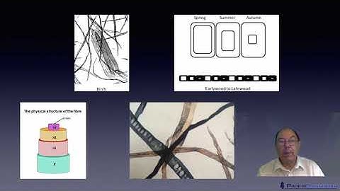 Level 2 Papermaking - Fibres Learning Outcomes