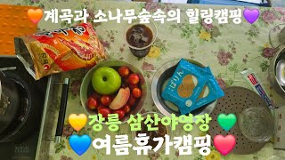 [여름휴가] 계곡과 소나무숲속의 힐링캠핑 5탄 / 강릉삼산야영장