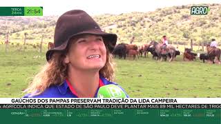 Gaúchos dos Pampas preservam tradição da Lida Campeira