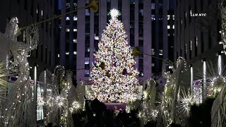 NYC Rockefeller Christmas Tree 1st Morning of Public Viewing