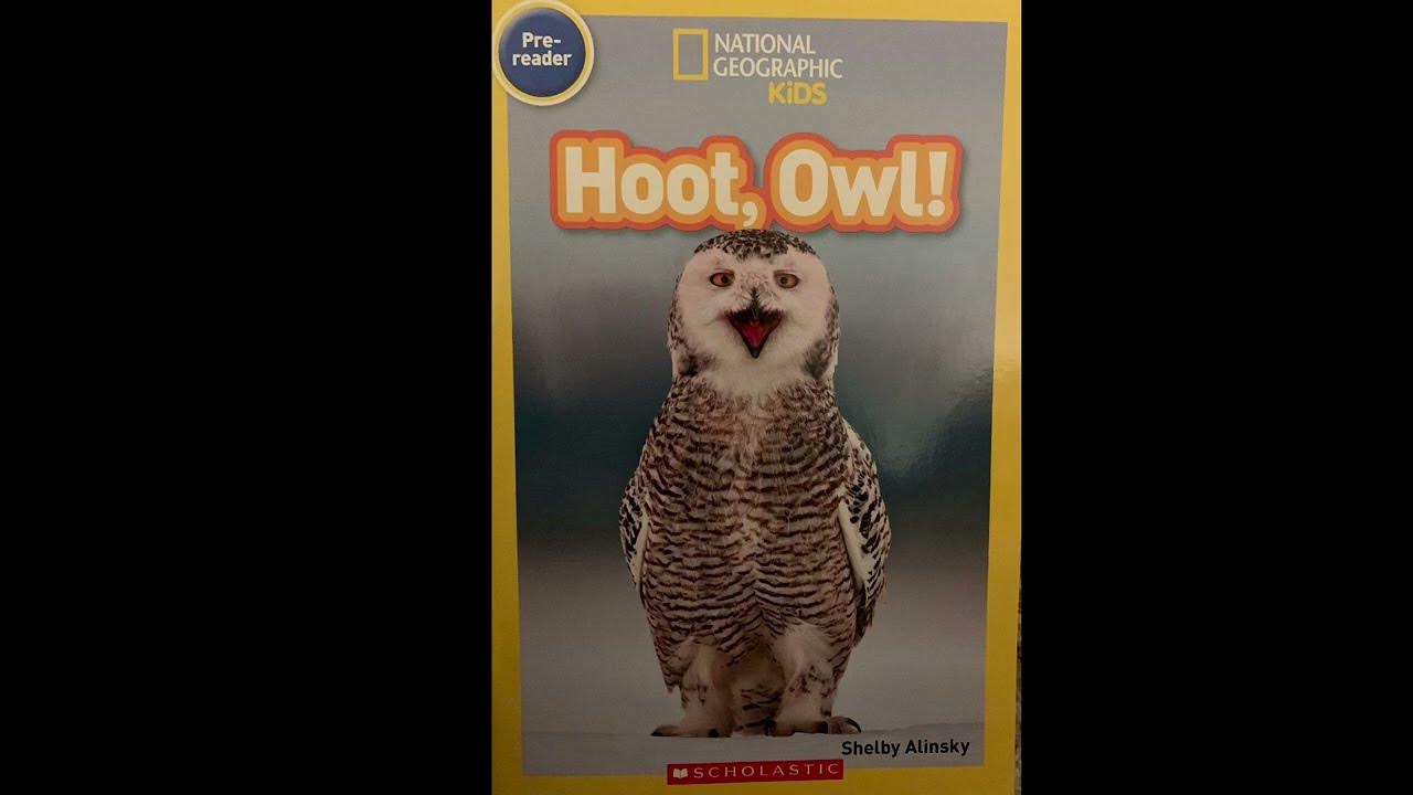 Hoot, Owl! by Shelby Alinsky YouTube