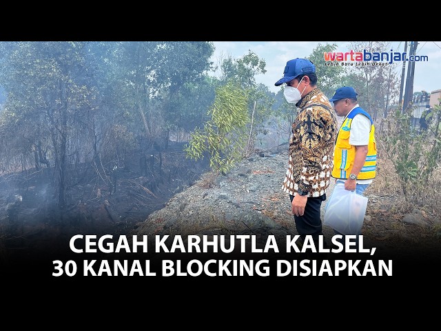 VIDEO - Pemerintah Siapkan 30 Kanal Blocking Atasi Karhutla Gambut Kalsel