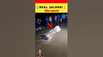 Real Jalpari 😱 जिंदा जलपरी 🧜#viral #hindi #facts #ytshorts #trendingshorts #shorts