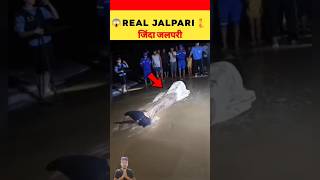 Real Jalpari 😱 जिंदा जलपरी 🧜#viral #hindi #facts #ytshorts #trendingshorts #shorts screenshot 3