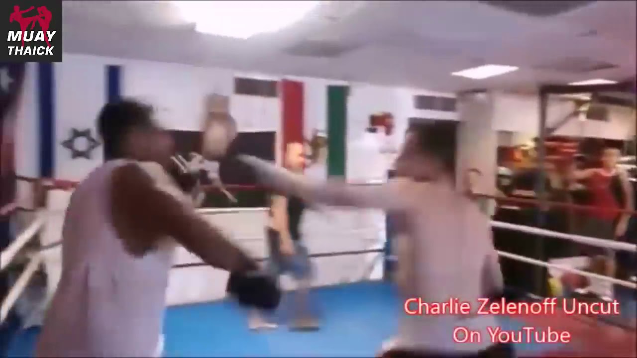 ТОП 5 ИЗБИЕНИЙ НЕПОБЕДИМОГО ОТМОРОЗКА БОКСЁРА!!!   ЧАРЛИ ЗЕЛЕНОФФ