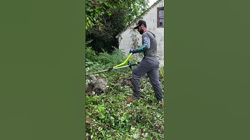 Code Enforcement called me for BACKUP on this one!