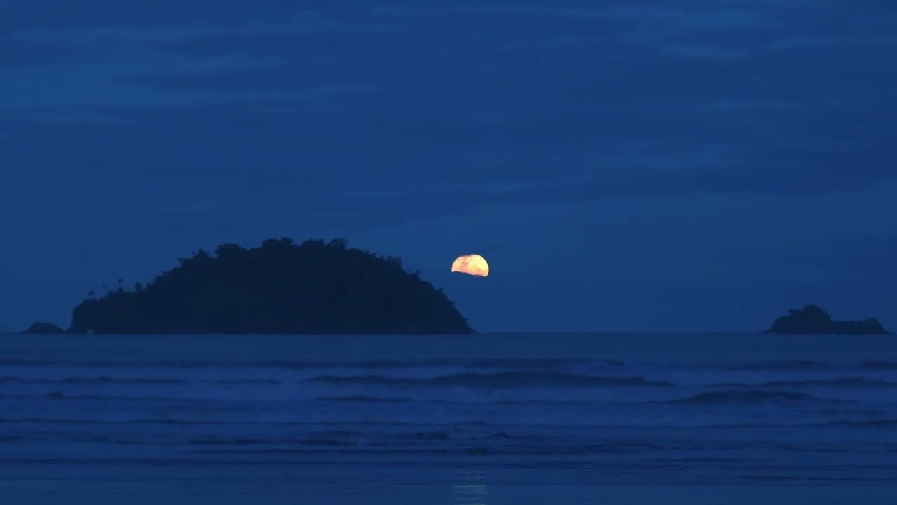 Alone with the waves (a playlist)