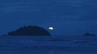 Alone with the waves (a playlist)