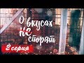 ВАЛЕРИЯ и Пригожин. "О вкусах не спорят". Режиссёр Ирина Козлова, влог \ vlog.