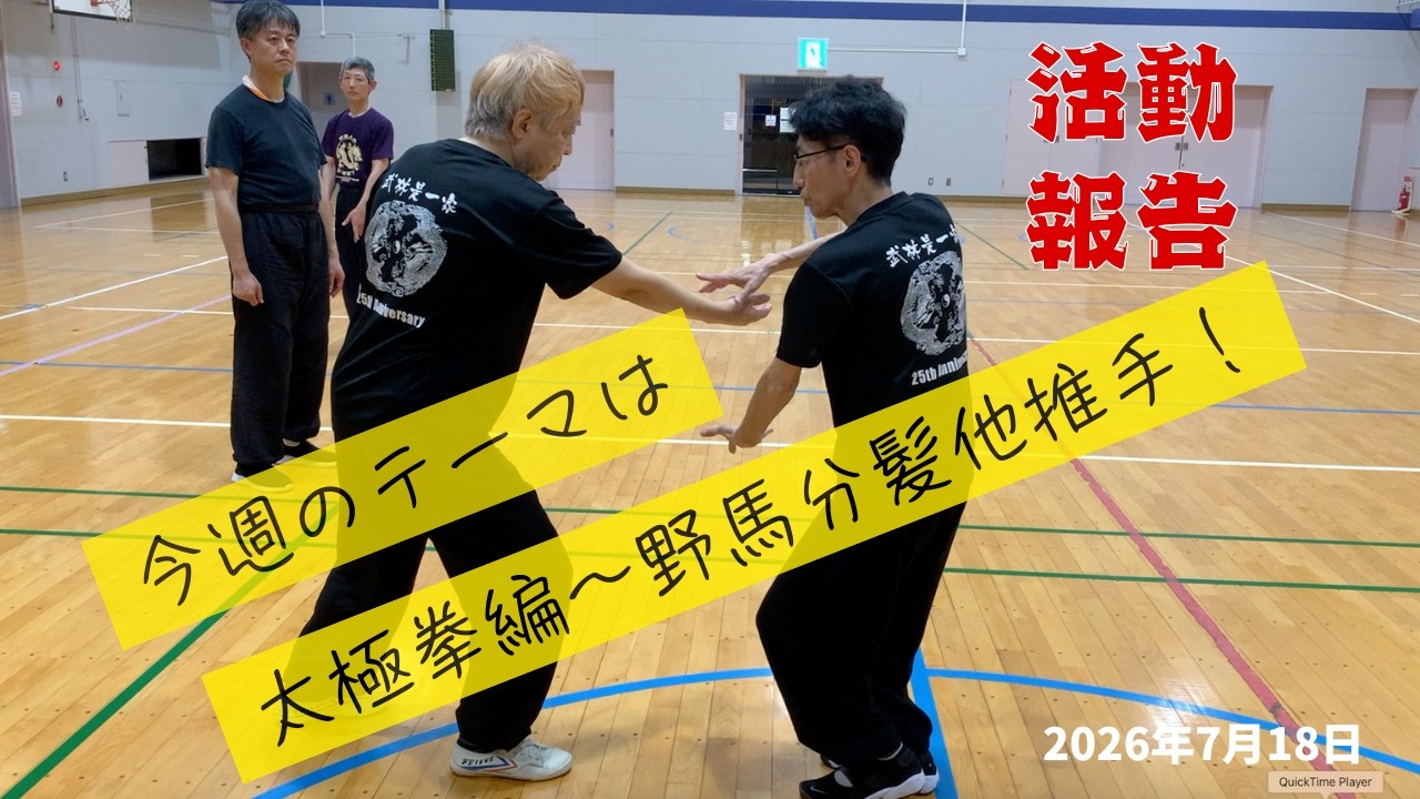 太極拳、野馬分髪他対練動画7月18日2026年（日中武道研究会東海支部