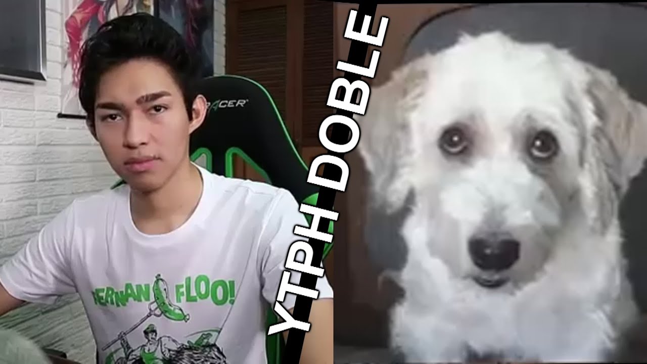 (2 YTPH en 1) FeF Juega Mr. Chipo y CurLiL Juega Fnaf 2