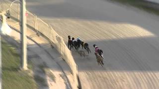 Ipswich-04122015-Race-9