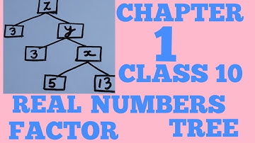 REAL NUMBERS ||CLASS 10 || FACTOR TREE|| IMPORTANT QUESTIONS||PREVIOUS YEARS QUESTIONS