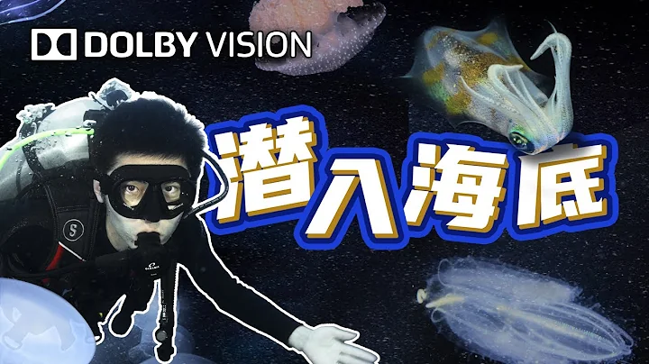 夜幕降临，潜入30米海底，我们拍到了一个隐藏的黑色世界... - 天天要闻