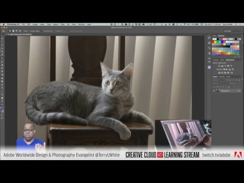 Introduction to Adobe Photoshop CC - Pt 5 - Adobe Camera RAW Filter |  | Educational