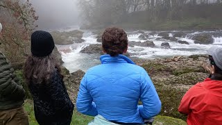 McKercher Falls, Calapooia River, Dec. 2023, 560 cfs