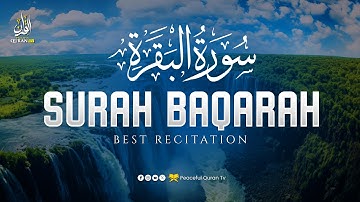 Surah Al Baqarah سورة البقرة | THIS ULTIMATE VOICE WILL TOUCH YOUR HEART | Peaceful Quran TV