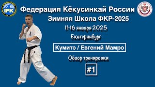 картинка: Кёкусинкай / Зимняя Школа ФКР-2025 / Кумитэ / Евгений Мамро / Обзор тренировки (1)