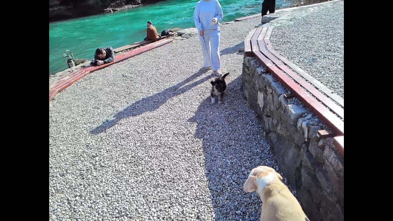 Mimi i raja iz Blagaja!