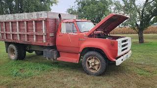 1975 Dodge 600 Single Axle Grain Truck, 9.00-20 Rear Duals in Good Condition, Wood Box