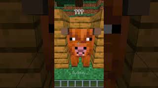 Nereye Kayboldular??