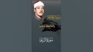رائة نفسية تلاوة خاشعة بصوت جميل #عبدالباسط_عبدالصمد #حالات_واتس_اب #القرآن_الكريم #راحة_نفسية 💚❤️🩵