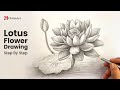 How To Draw Realistic Lotus Flower Drawing With Pencil Shading Step By Step