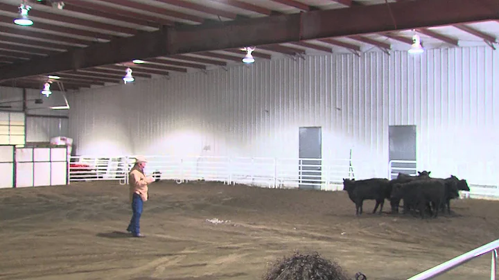 Low Stress Cattle Handling-Western Farm Show