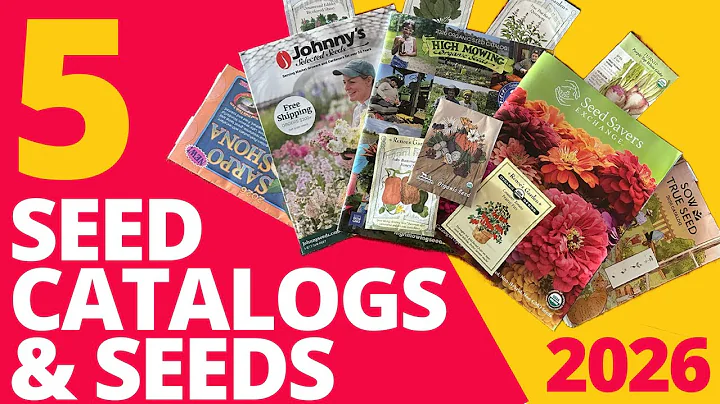 5 Seeds (and Seed Catalogs) to Try in 2026