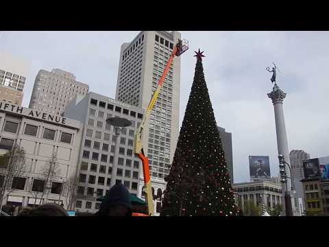Video: Árboles de Navidad y luces navideñas de San Francisco