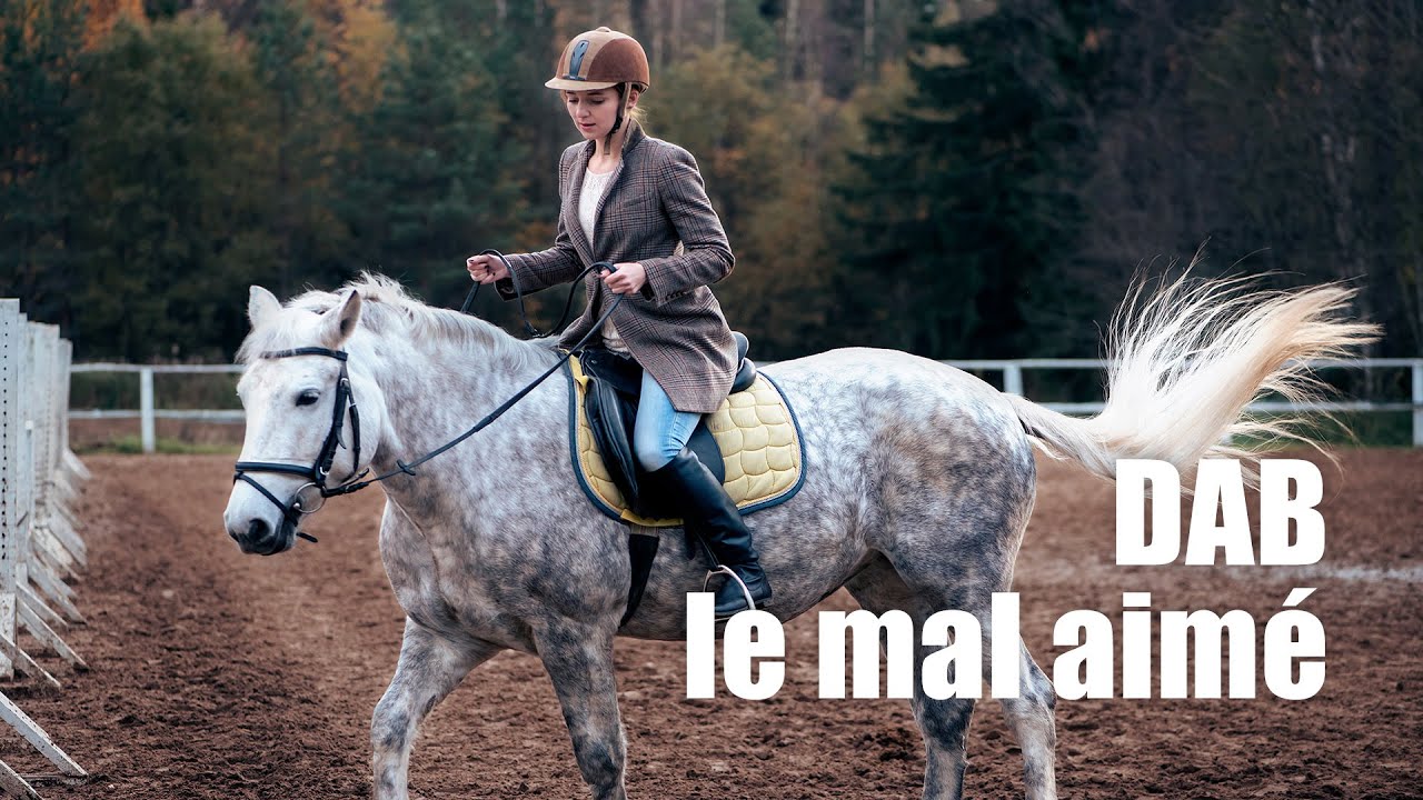 Dab, le mal-aimé