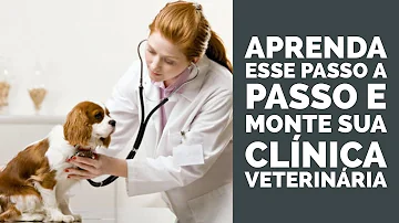 Quanto ganha um dono de uma clínica veterinária?