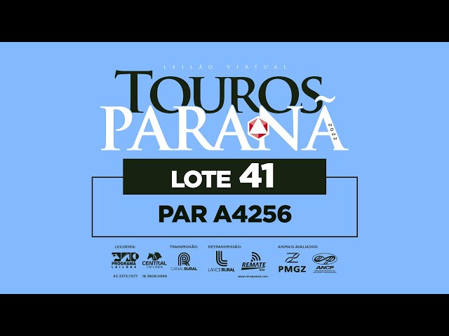LOTE 41 PAR A4256