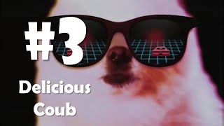 Delicious Coub Compilation # 3