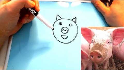 Super Easy Beginner English Lesson: Drawing Shapes & Animals | Total Physical Response (TPR) English