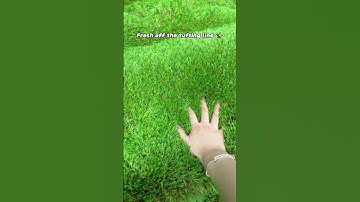 Like a giant turf pillow…💚丨Artificial Grass Manufacturing Process #artificialgrass #factory #b2b