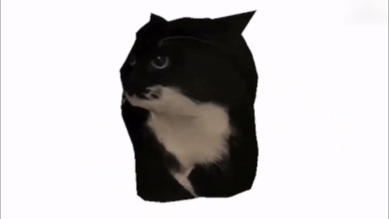Мем с вертящимся котом