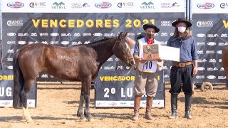 Mangaba da Timbaúba - 1º Lugar no Doma de Ouro 2021