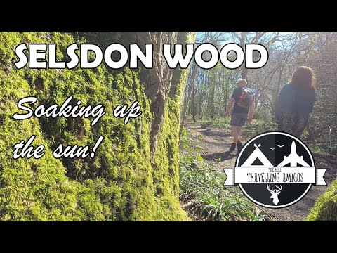 Sunday walking | SELSDON WOODLANDS | Picnic | NO TALKING!