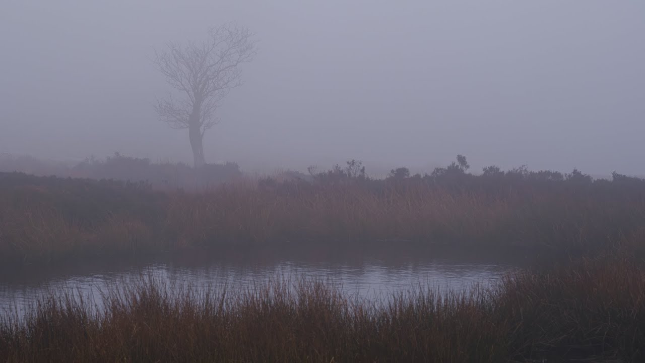 A walk from Square Corner to Whorlton Moor (North York Moors)