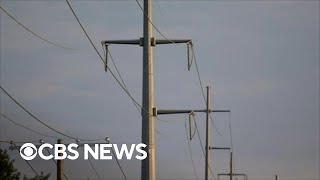 U.S. faces dangerous heat wave Profile