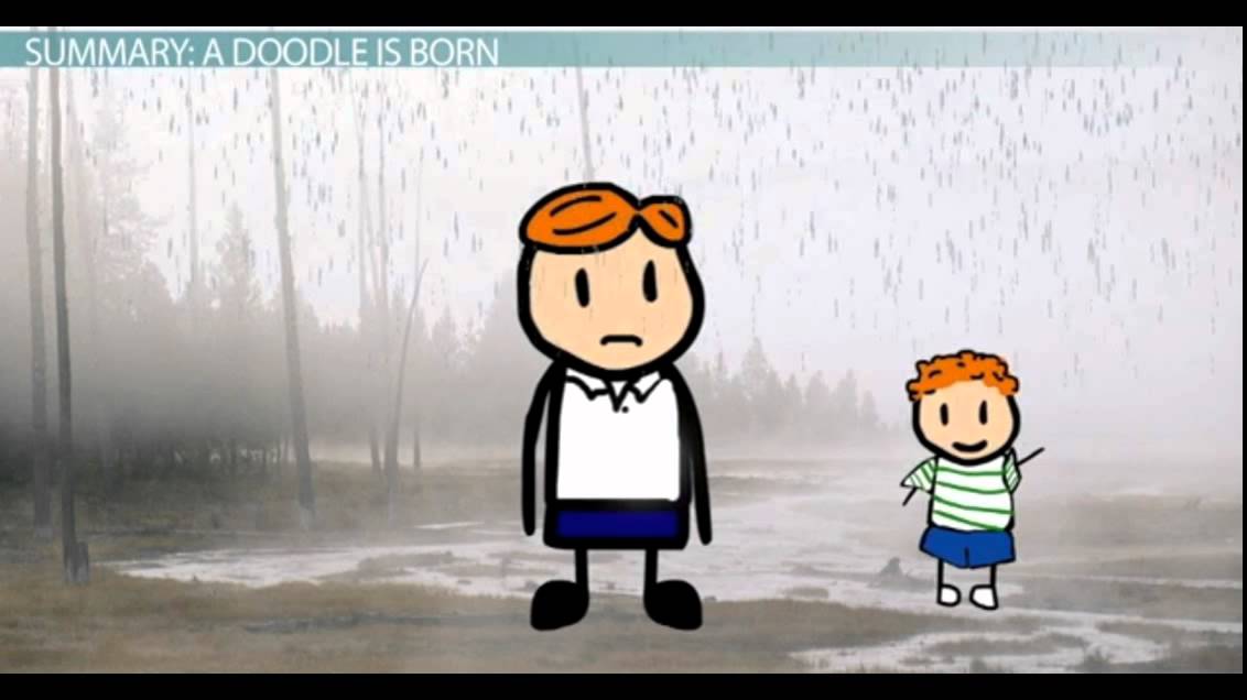 The Scarlet Ibis Doodle Drawings