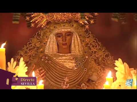 Pontificia, Real e Ilustre Hermandad y Archicofradía de Nazarenos del Santísimo Sacramento, de la Pura y Limpia Concepción de la Santísima Virgen María, Santísimo Cristo de las Tres Caídas, Nuestra Señora de la Esperanza y San Juan Evangelista