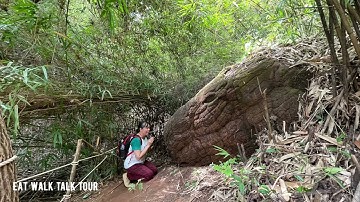 Naga cave at Buengkan, pilgrimage and mystery of snake stone
