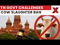 Tamil Nadu Cow Slaughter Ban: State Challenges Madras High Court Order in Supreme Court