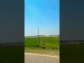 Passing Green 🍀