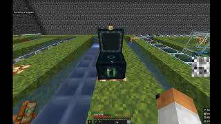 Easiest DonutSMP Shulker Dupe (USE BEFORE PATCH!)